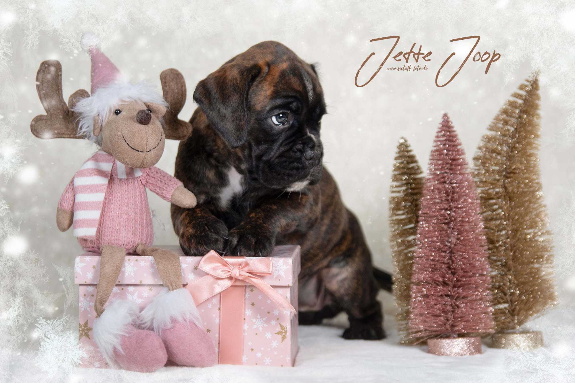 JetteJoop1sielaff-foto