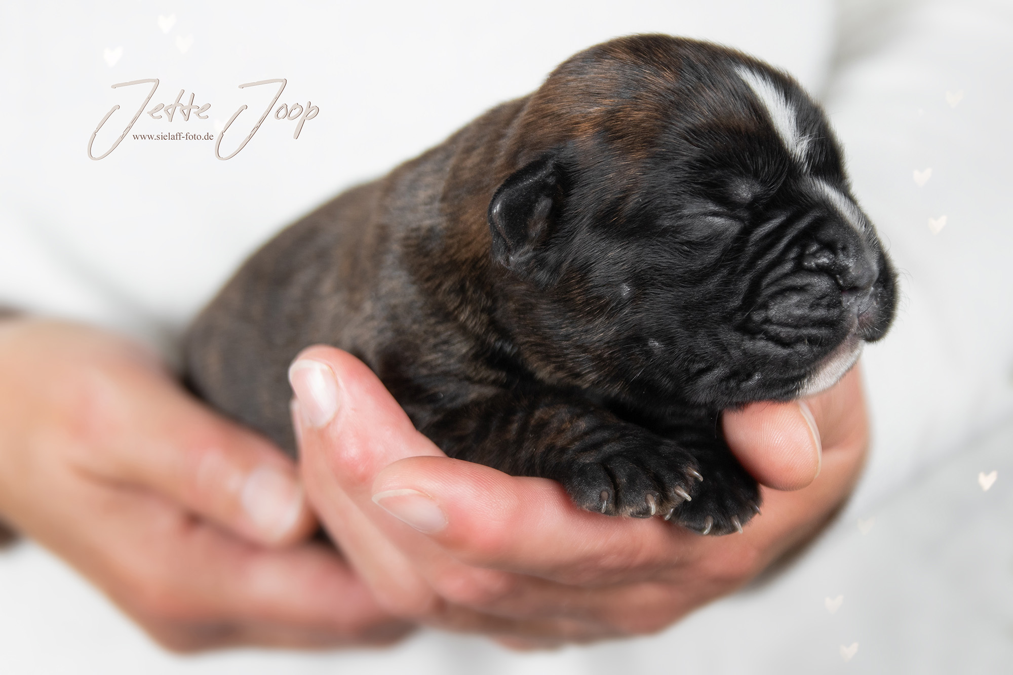 JetteJoop2sielaff-foto