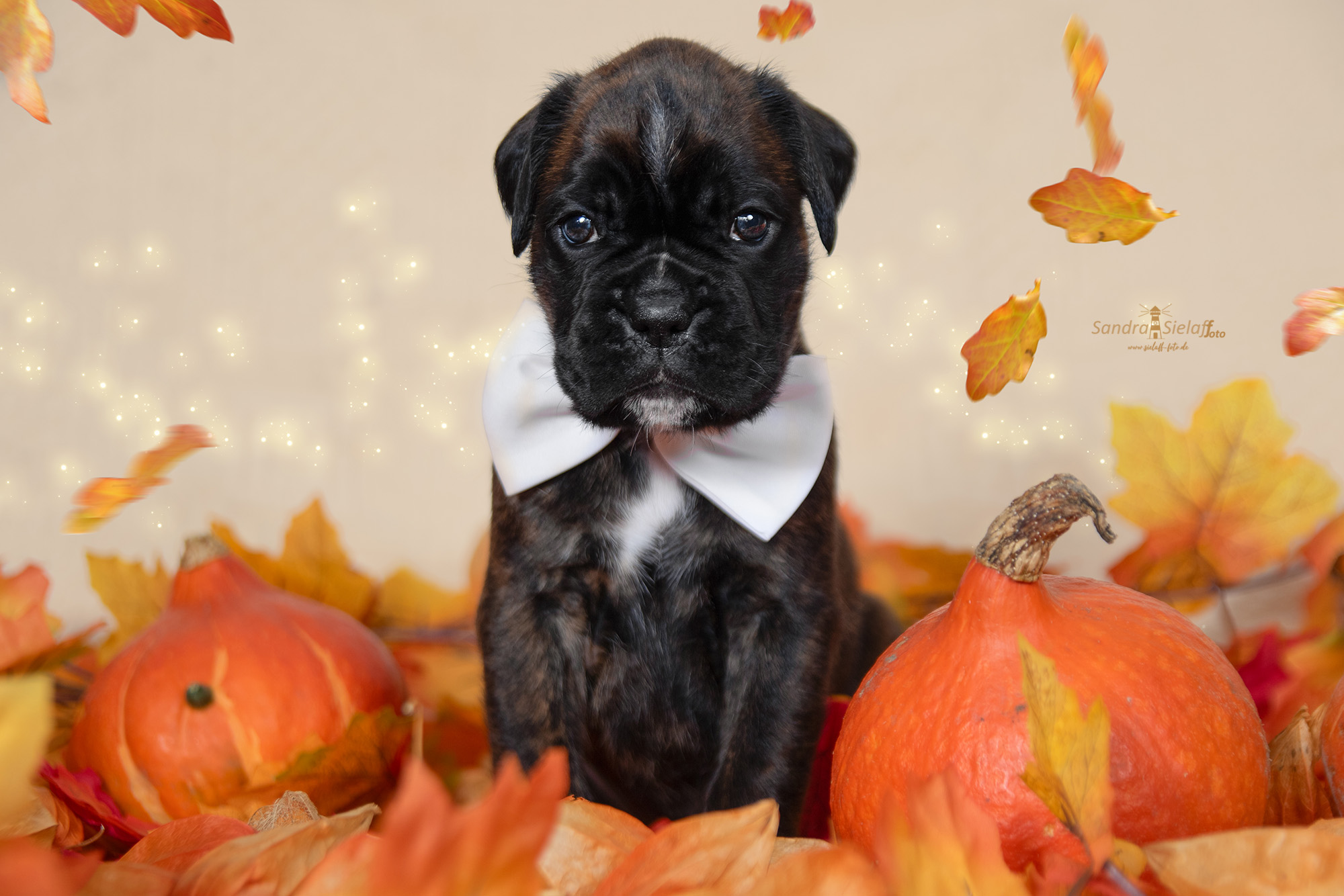 JetteJoop2sielaff-foto