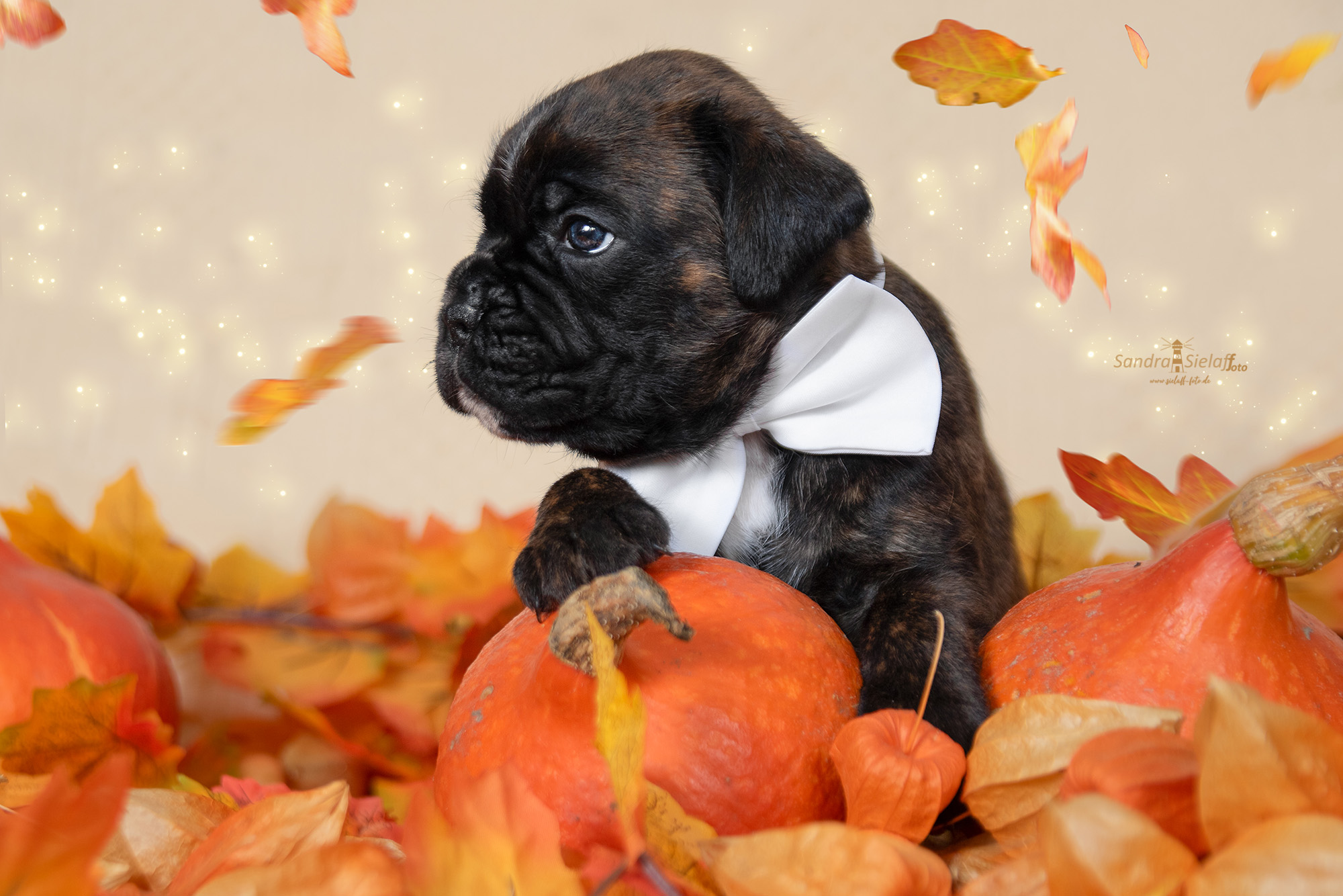 JetteJoop4sielaff-foto