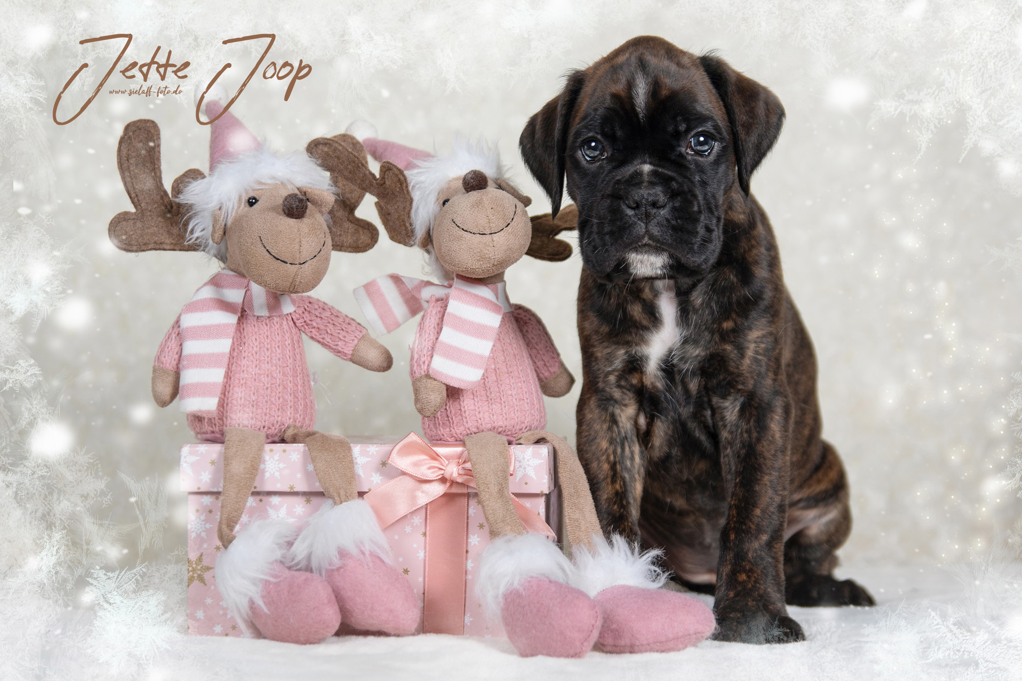 JetteJoop4sielaff-foto