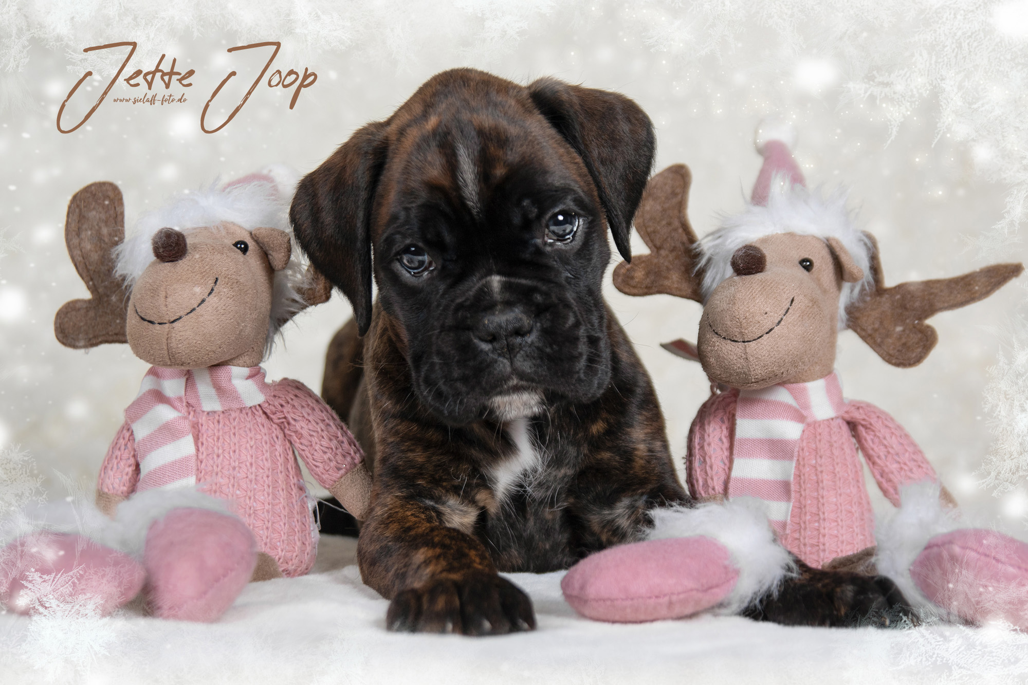 JetteJoop8sielaff-foto