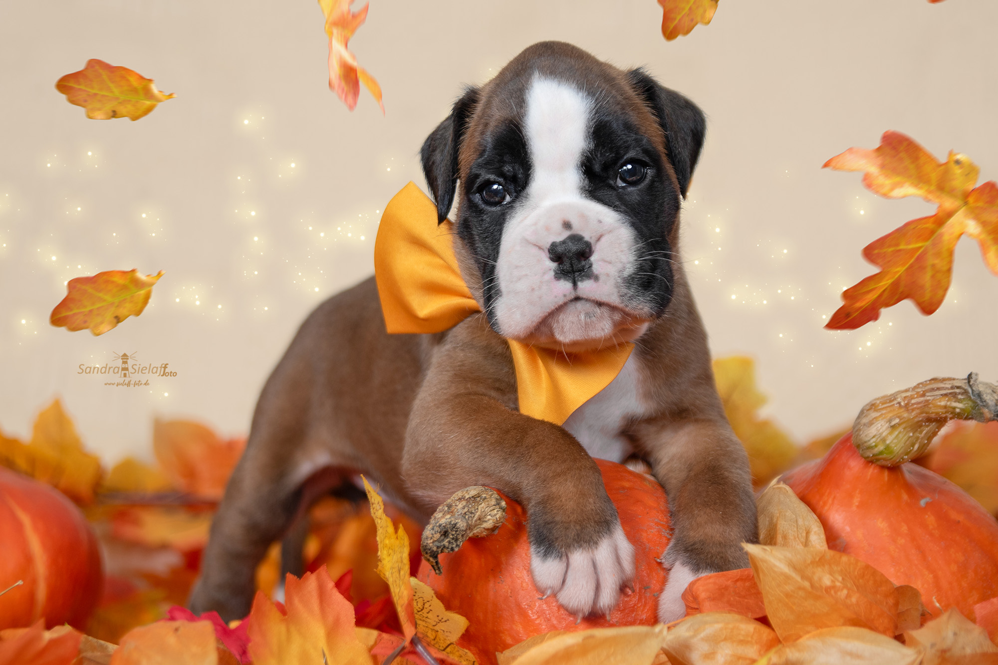 Just Perfect5sielaff-foto