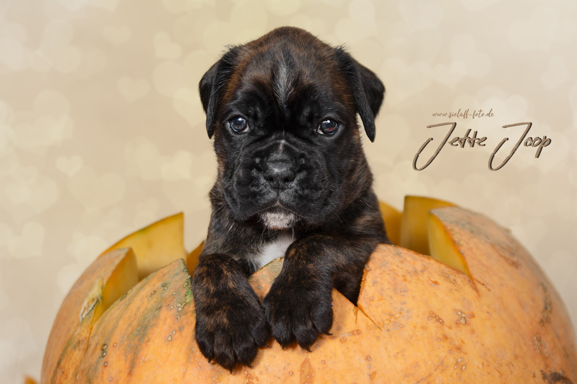 jetteJoop6sielaff-foto