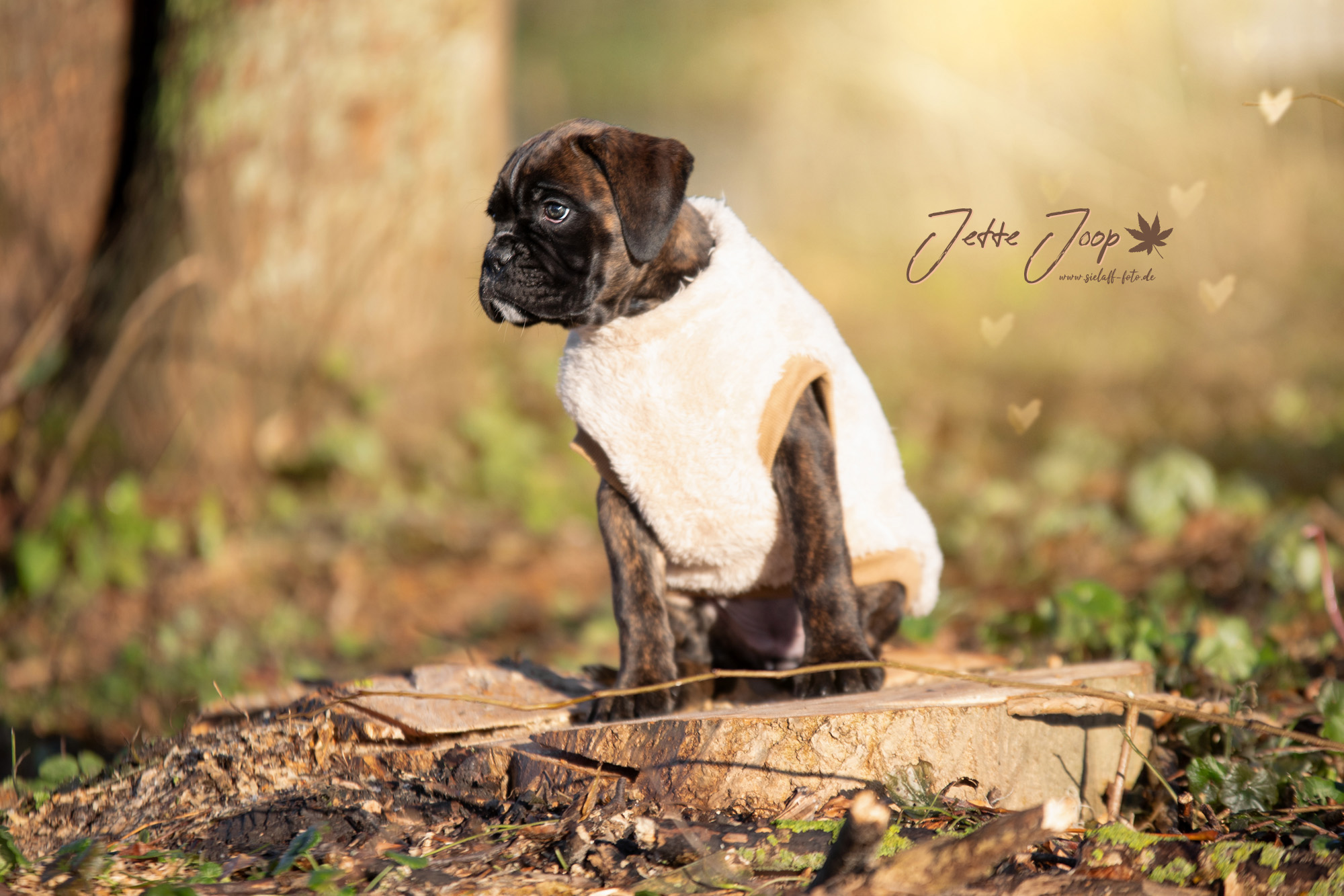 Jette Joop5sielaff-foto