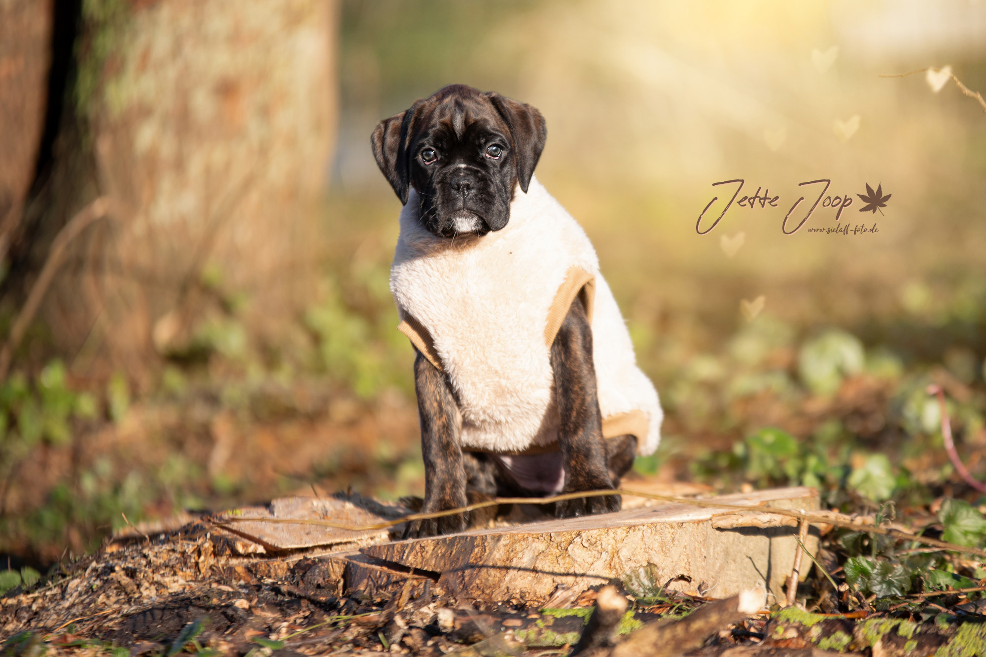 Jette Joop7sielaff-foto