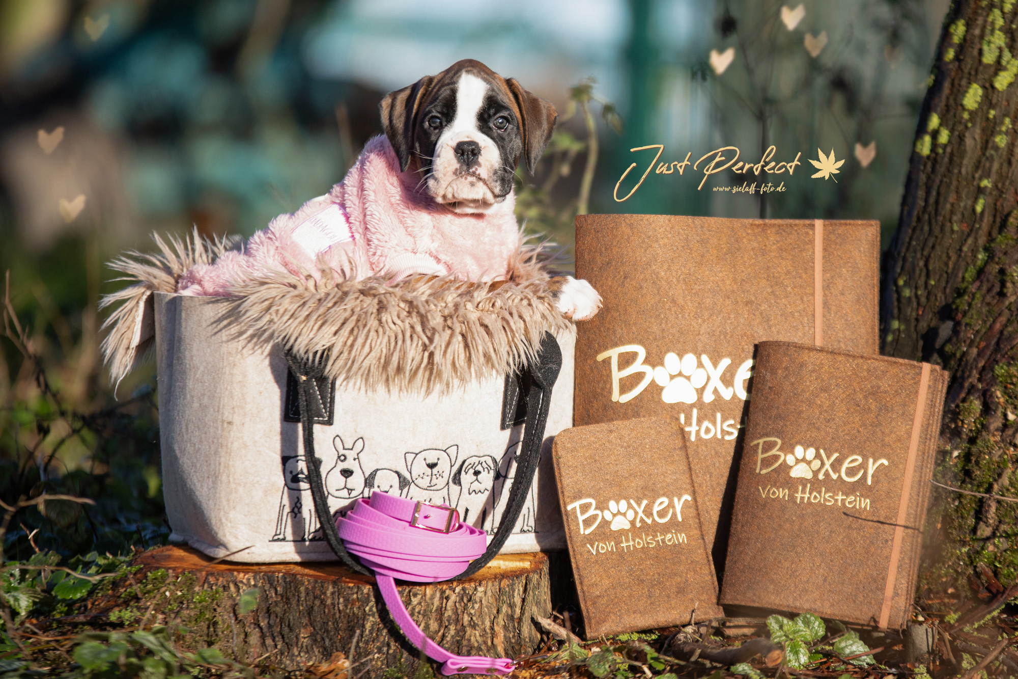 Just Perfect1sielaff-foto