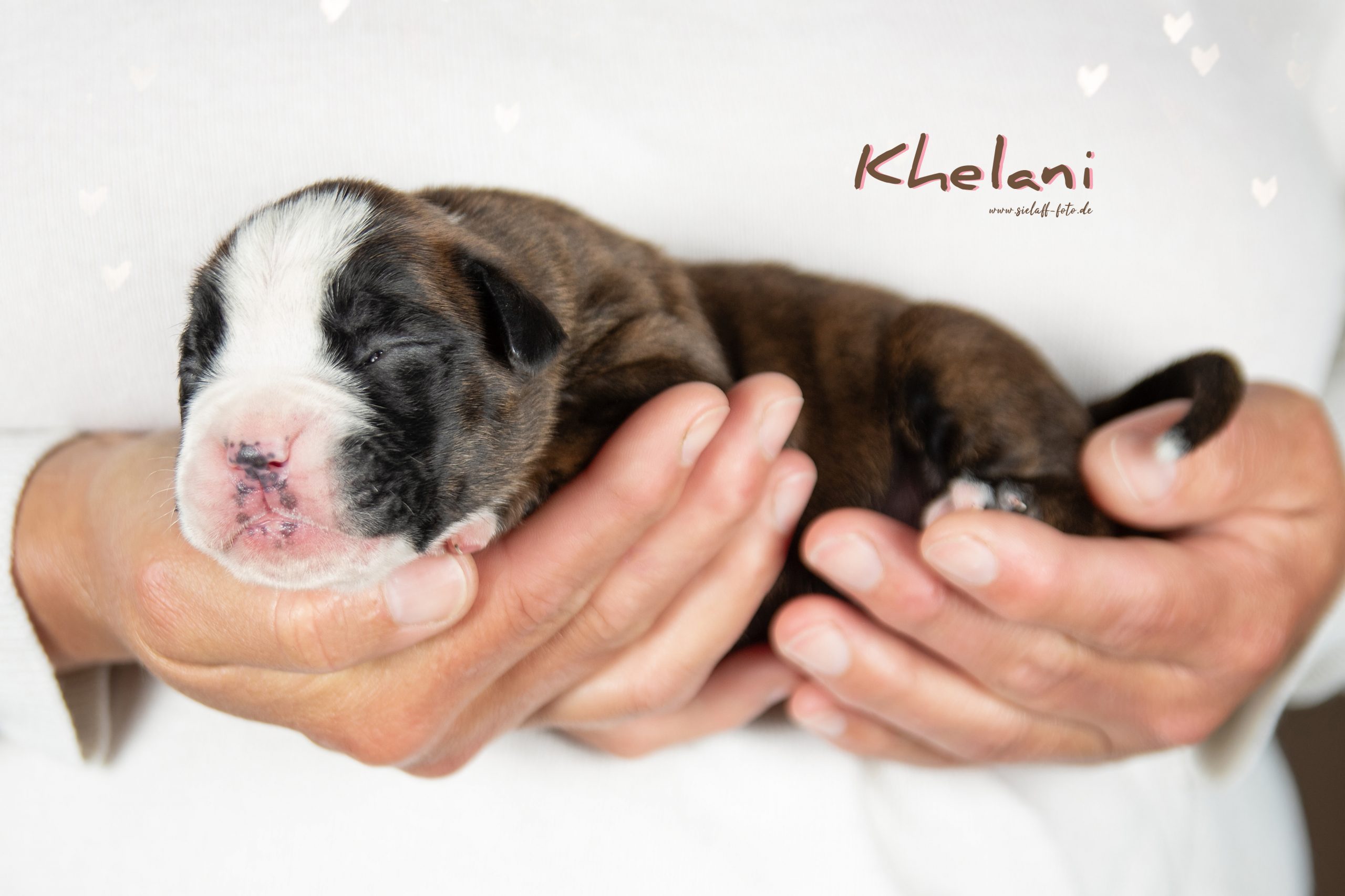 Khelani12sielaff-foto