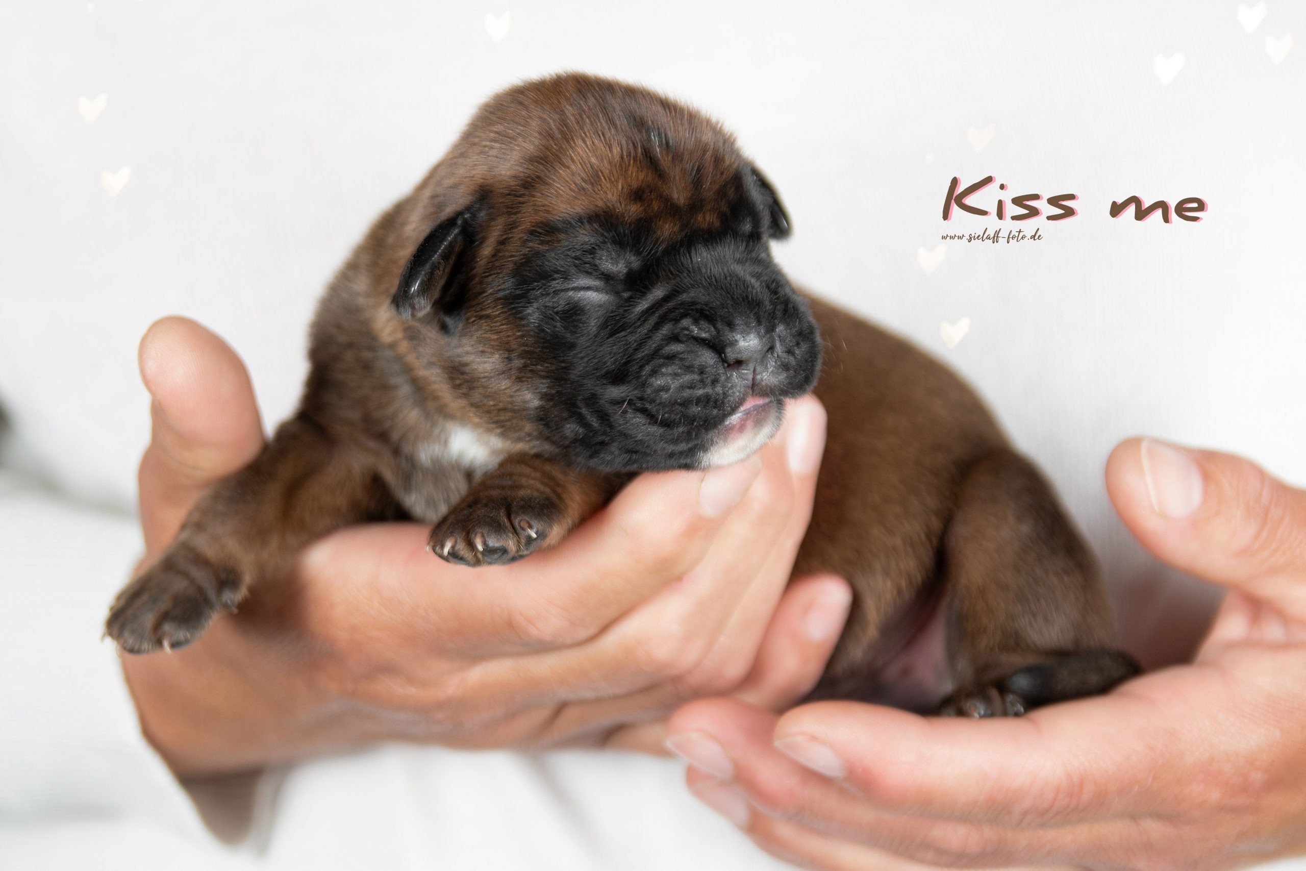 Kiss me1sielaff-foto