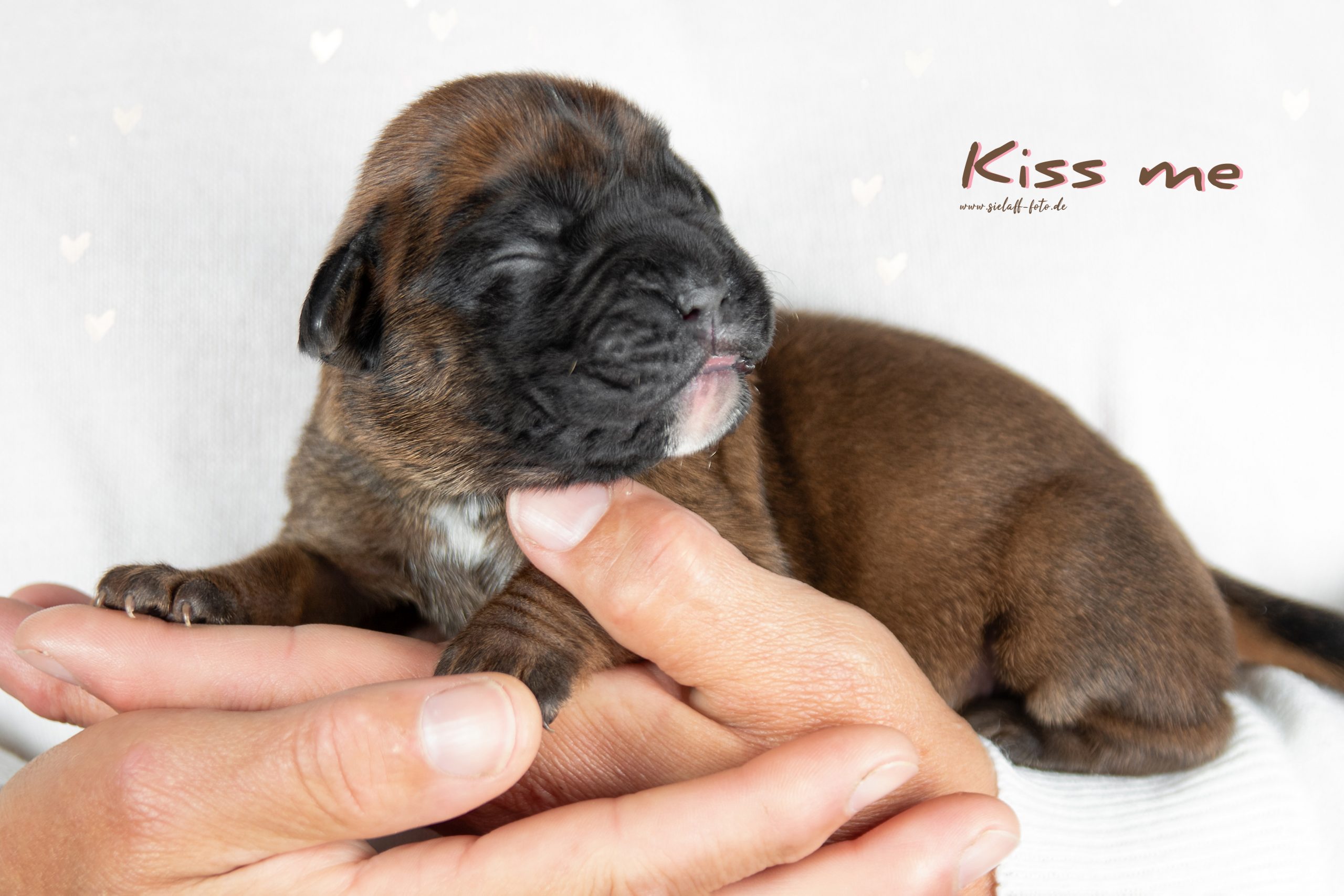 Kiss me5sielaff-foto