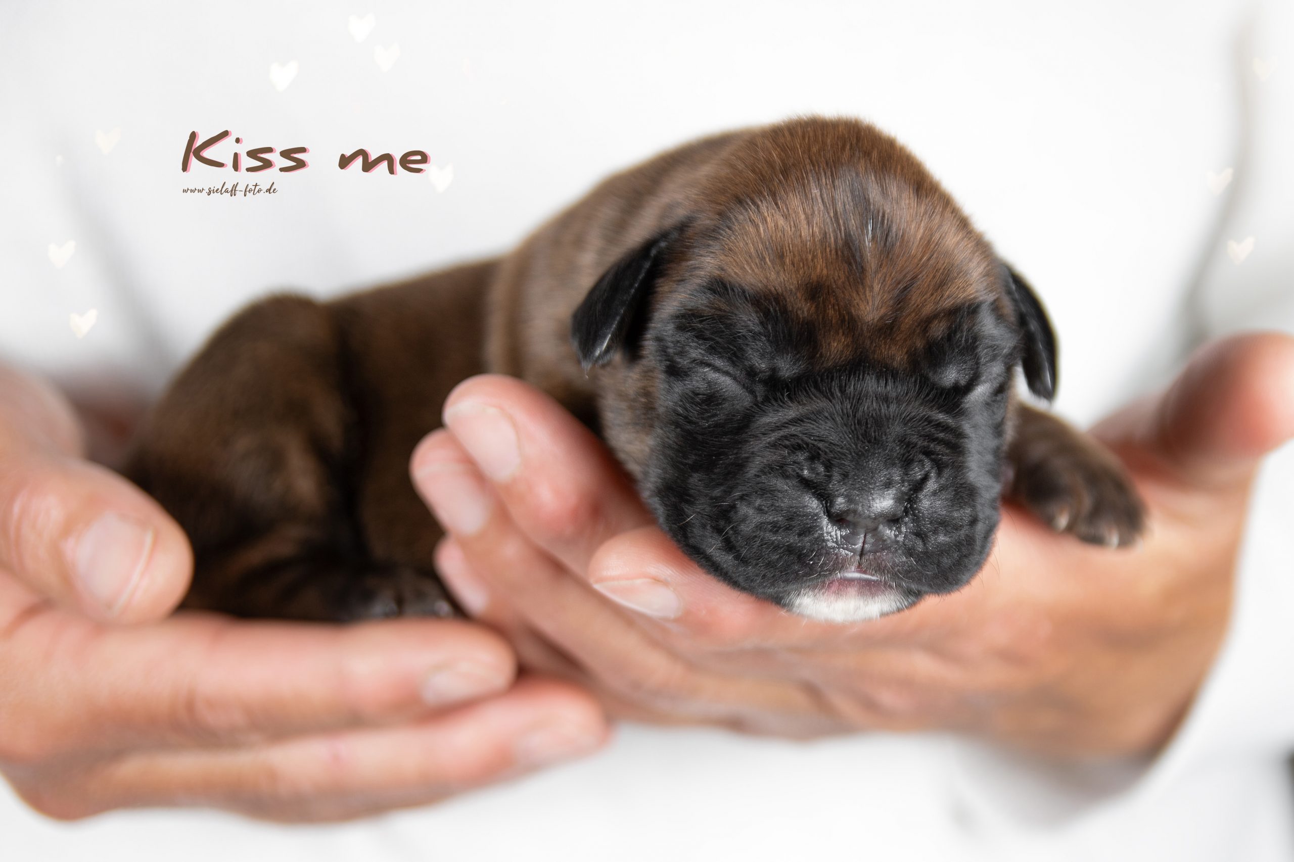 Kiss me7sielaff-foto